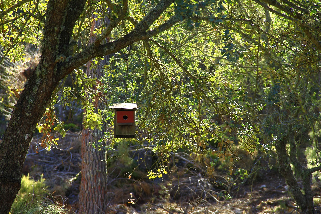 Alfonso iturralde: 5 claves para potenciar tu crecimiento personal 1 alfonso iturralde