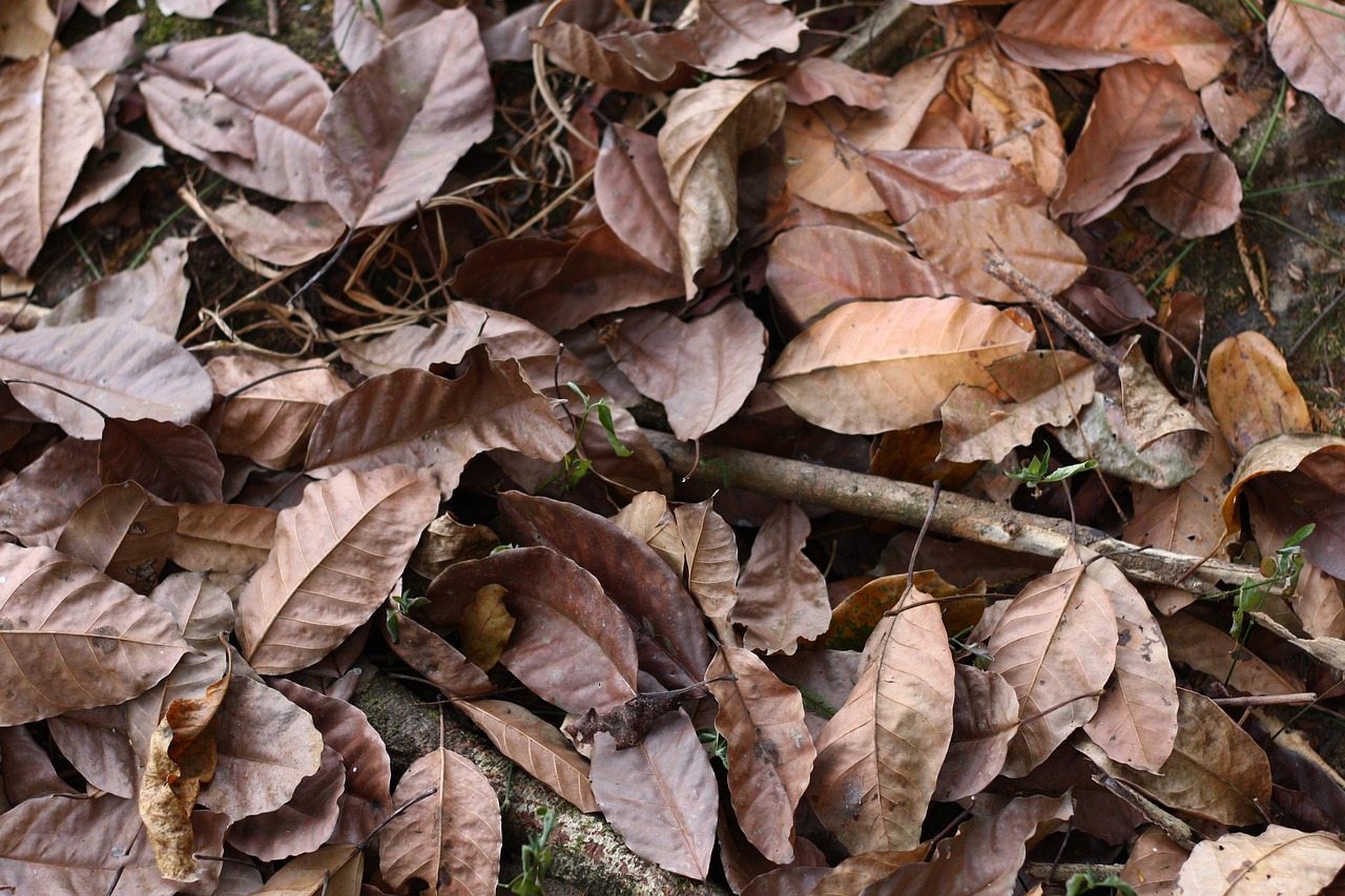 ¿Cuántos hijos tiene Morata? Descubre su feliz familia en 2023 3 cuantos hijos tiene morata