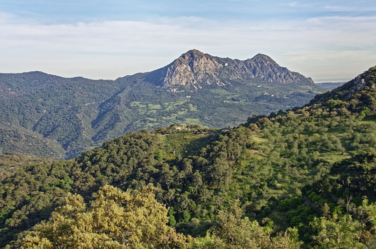 Lara Blanco: 5 claves para potenciar tu marca personal 3 lara blanco