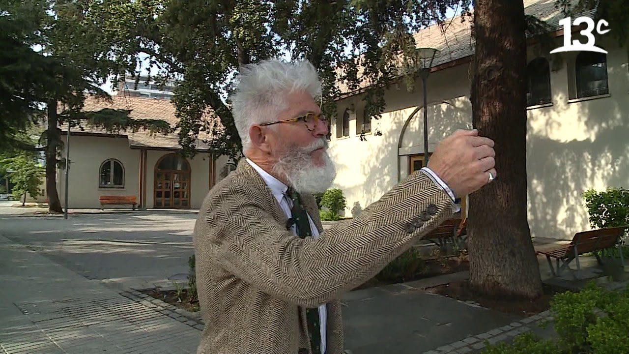 Parroquia Inmaculada Concepción: 5 eventos imperdibles en 2025 5 parroquia inmaculada concepcion