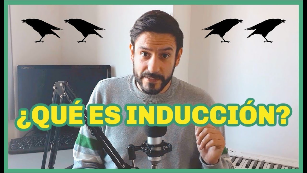 ¿Qué es inducción? 5 claves esenciales para entenderla en 2025 4 que es induccion