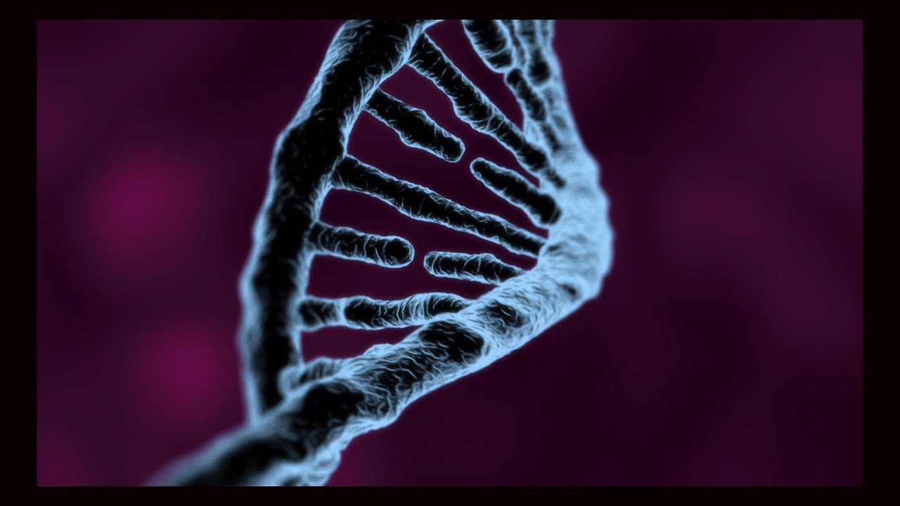 Tixtla: 7 sorpresas culturales que debes descubrir en 2025 5 tixtla