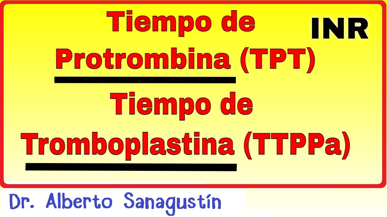 tpt que es