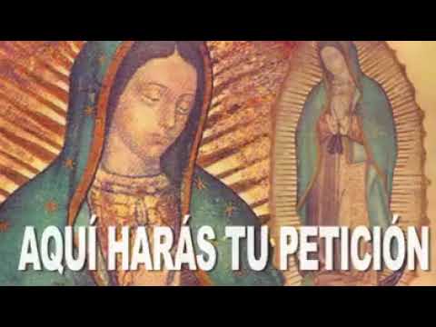 Virgen de Guadalupe oración: 7 pasos para profundizar tu fe 5 virgen de guadalupe oracion