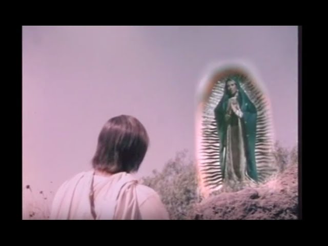 Virgen de Guadalupe y Juan Diego: 7 historias que debes conocer 5 virgen de guadalupe y juan diego